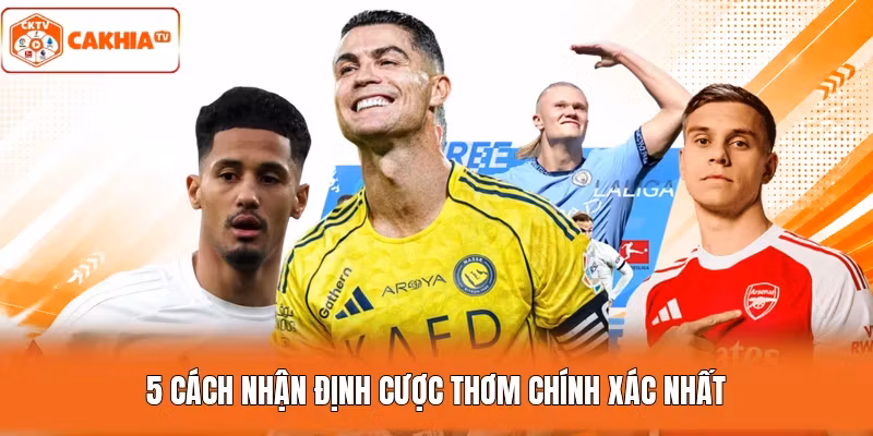 5 cách nhận định cược thơm chính xác nhất