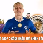 Kèo Dụ Bóng Là Sao? 5 Cách Nhận Biết Chính Xác Để Tránh Bẫy