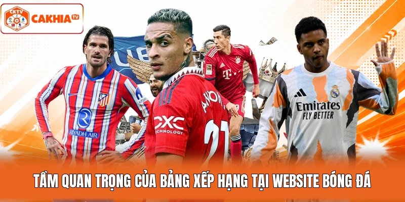 Tầm quan trọng của bảng xếp hạng tại website bóng đá
